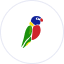 Colorful bird icon